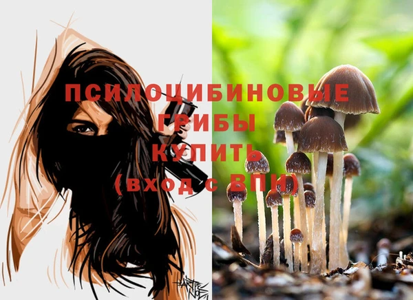 мет Липки