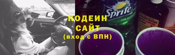 ГАЛЛЮЦИНОГЕННЫЕ ГРИБЫ Ладушкин