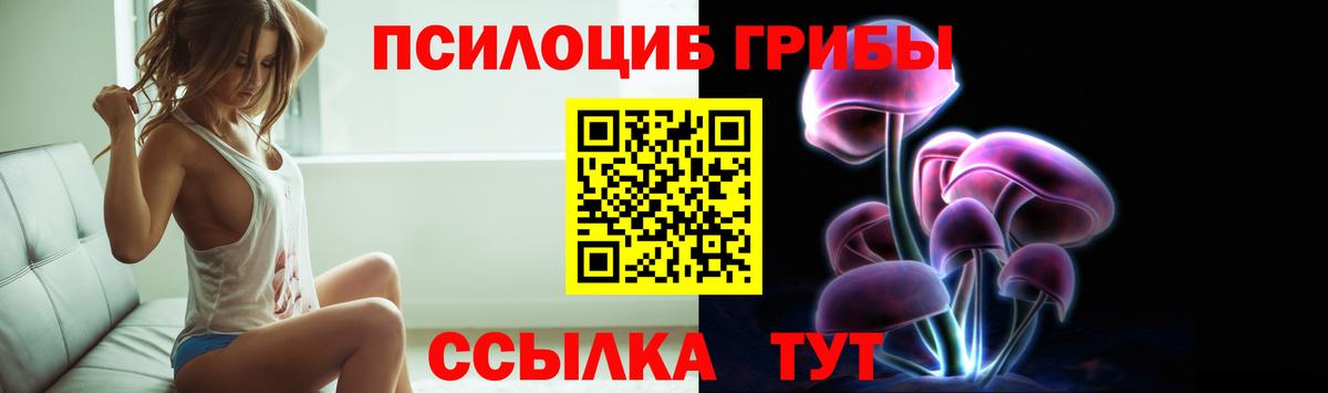 Галлюциногенные грибы ЛСД  как найти наркотики  Мценск  Вход с VPN 